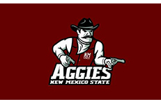 new_mexico_state_university_flag_20033sma